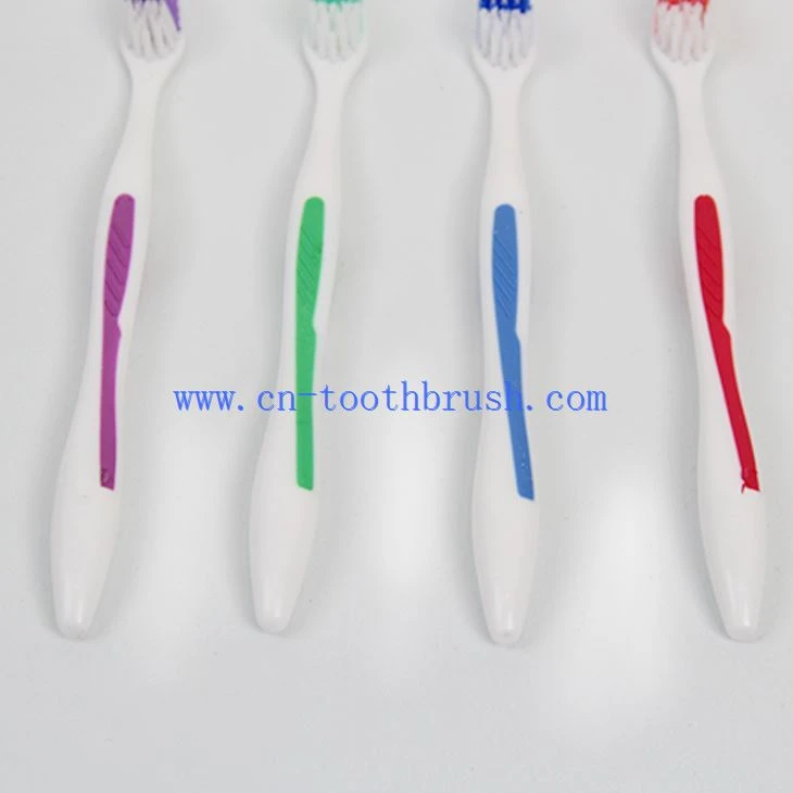 The Handle Of Plastic Toothbrush